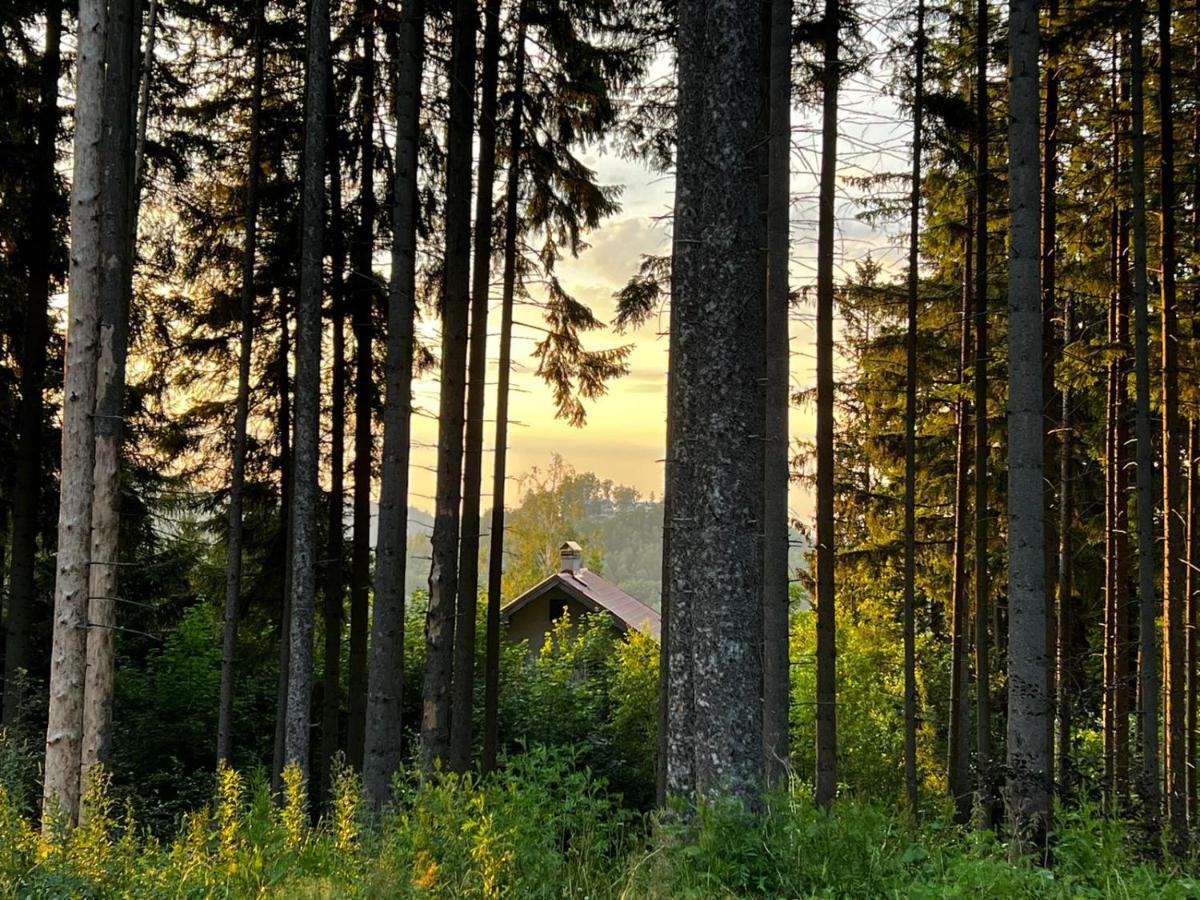 Apartalala, Apartament Z Ogrodem Karpacz Kültér fotó